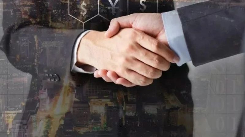 代账公司资质查不到，问题可能出在哪儿